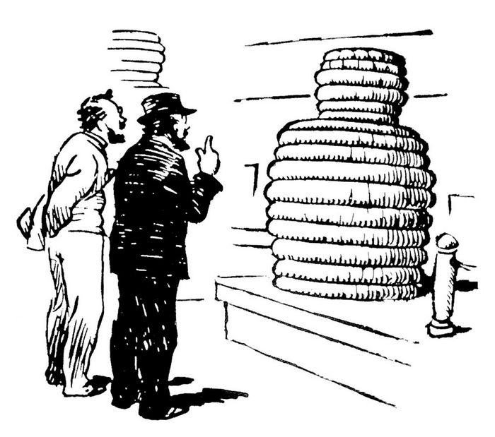 绫冲叾鏋楄疆鑳庤儗鍚庣殑鏁呬簨,绫冲叾鏋楄疆鑳庣湡浜鸿繘鍖栧彶