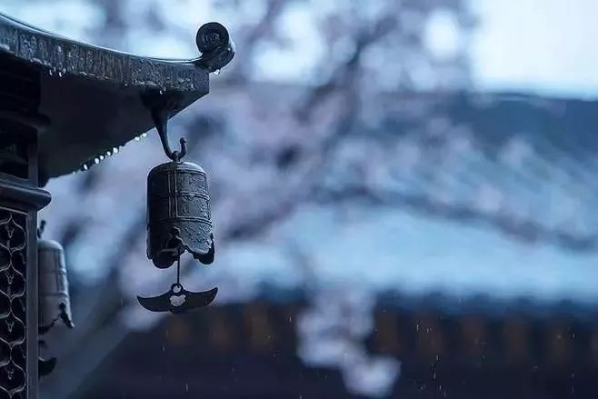 如果不喝酒猪八戒也不敢调戏嫦娥,如果不喝酒在酒桌上怎么办