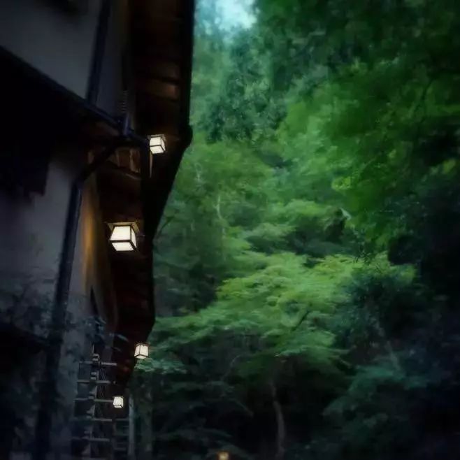 如果不喝酒猪八戒也不敢调戏嫦娥,如果不喝酒在酒桌上怎么办