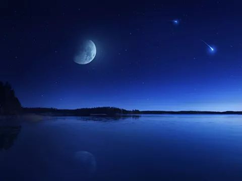 pig和hog和boar有什么区别,猪年用bear还是pig