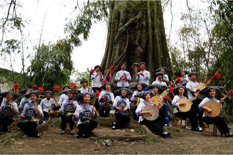 「到春城·过春节」弦歌知意，时间流过的民族乐器