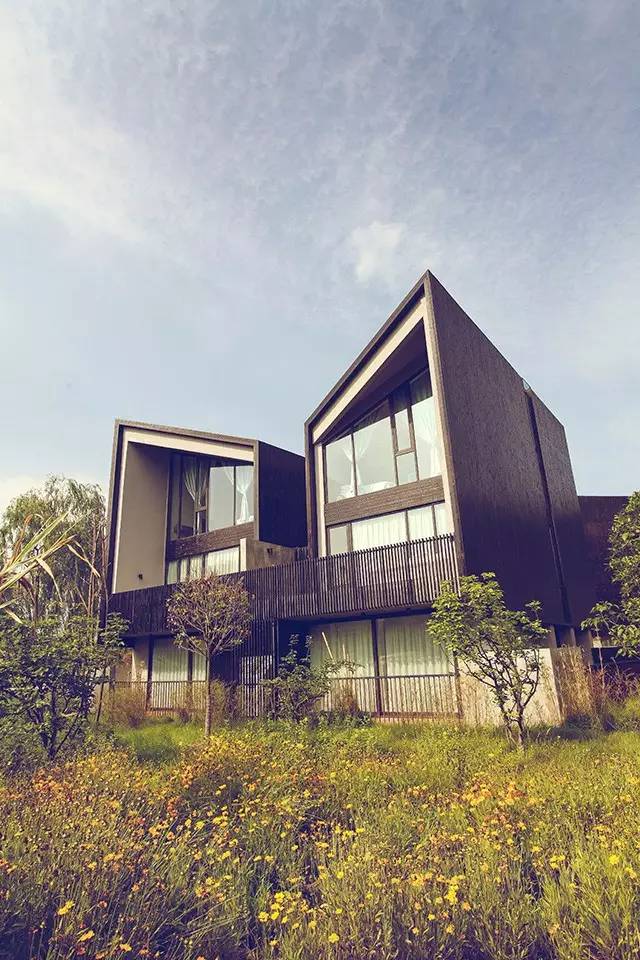 春风十里，不如这8条专享优惠！约惠“女神节”，开启宠爱之旅！