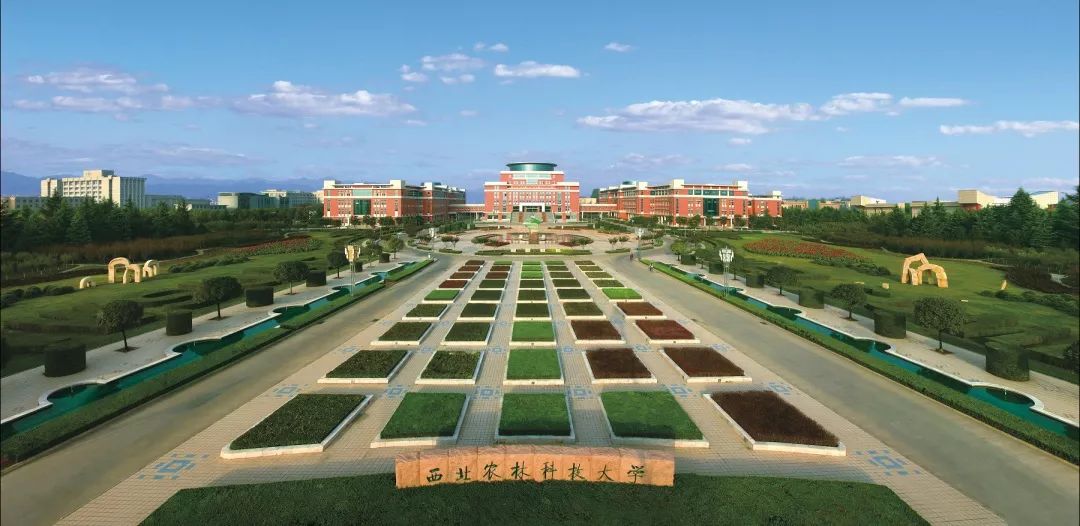陕西师范大学新春,陕西师范大学迎新年