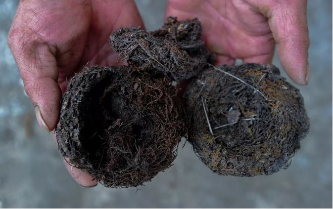 过年保健品有哪些坑,这几种保健品不值得买