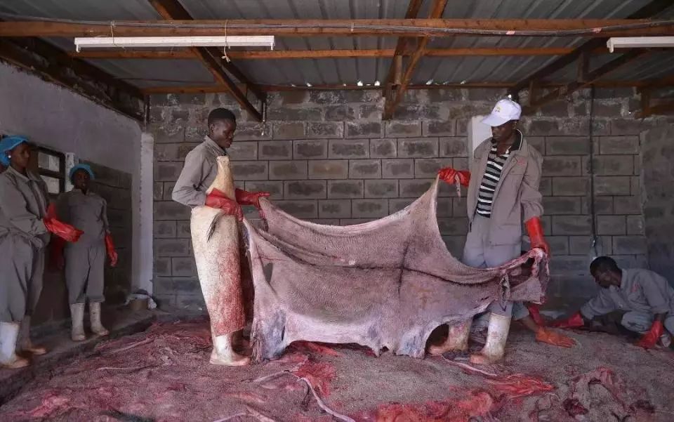 过年保健品有哪些坑,这几种保健品不值得买