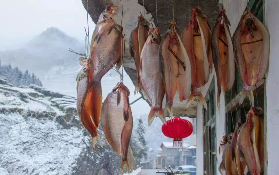 过年保健品有哪些坑,这几种保健品不值得买