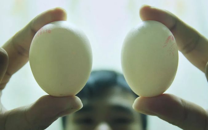 过年保健品有哪些坑,这几种保健品不值得买