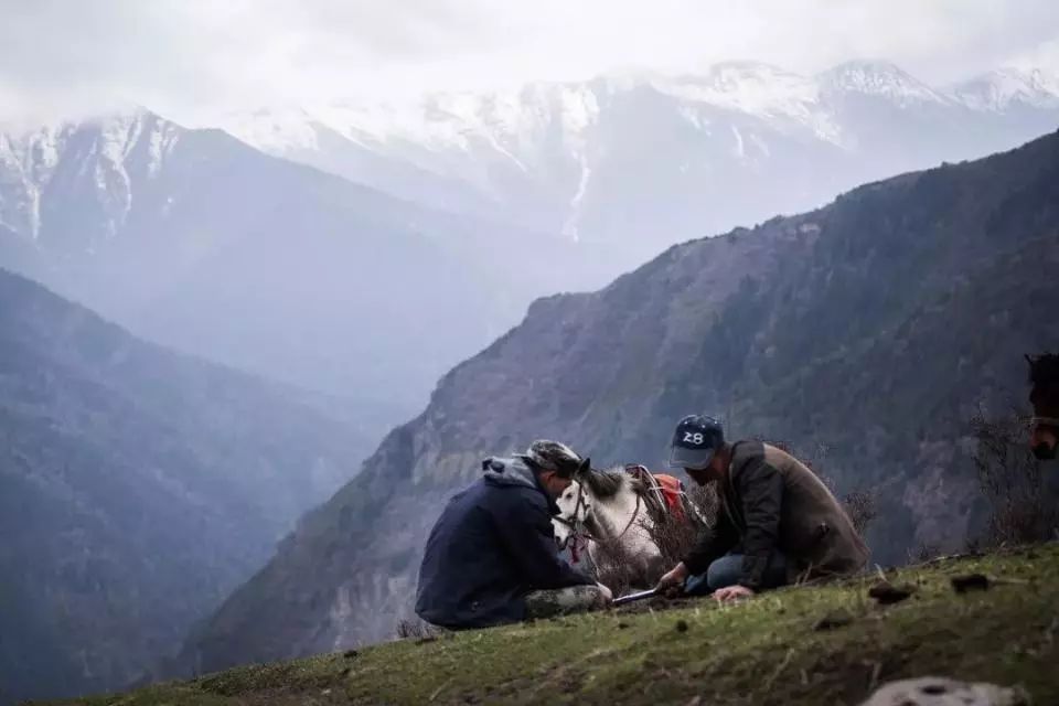 过年保健品有哪些坑,这几种保健品不值得买