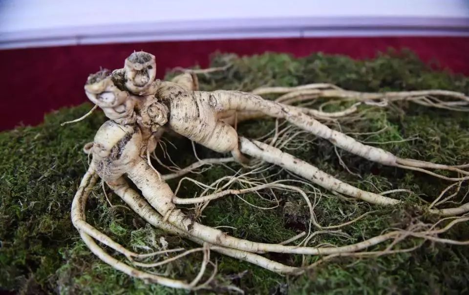 过年保健品有哪些坑,这几种保健品不值得买