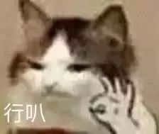 支付宝集五福花花卡中奖怎么用,支付宝五福卡开奖后钱在哪