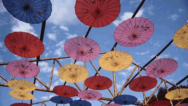 花田小镇过年,花田古镇旅游攻略