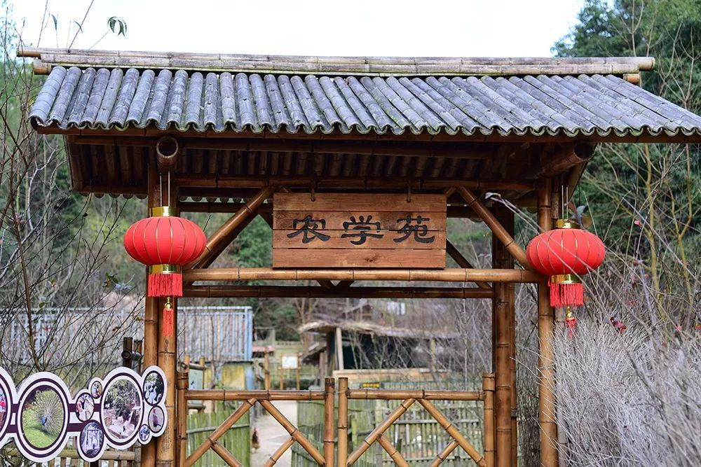 花田小镇过年,花田古镇旅游攻略