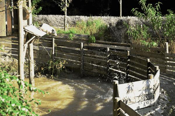 花田小镇过年,花田古镇旅游攻略
