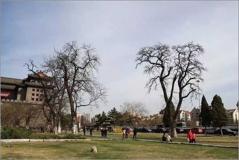 北京交通方便的旅游景点,北京交通方便好玩的地方