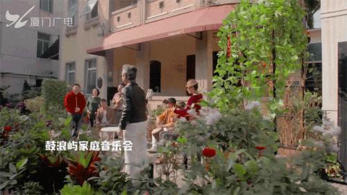 黄金周厦门值得去吗,厦门休闲度假建议