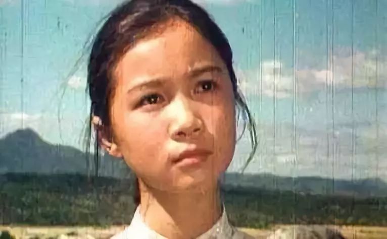 蔡明旗袍高清写真,蔡明惊艳个人写真小品