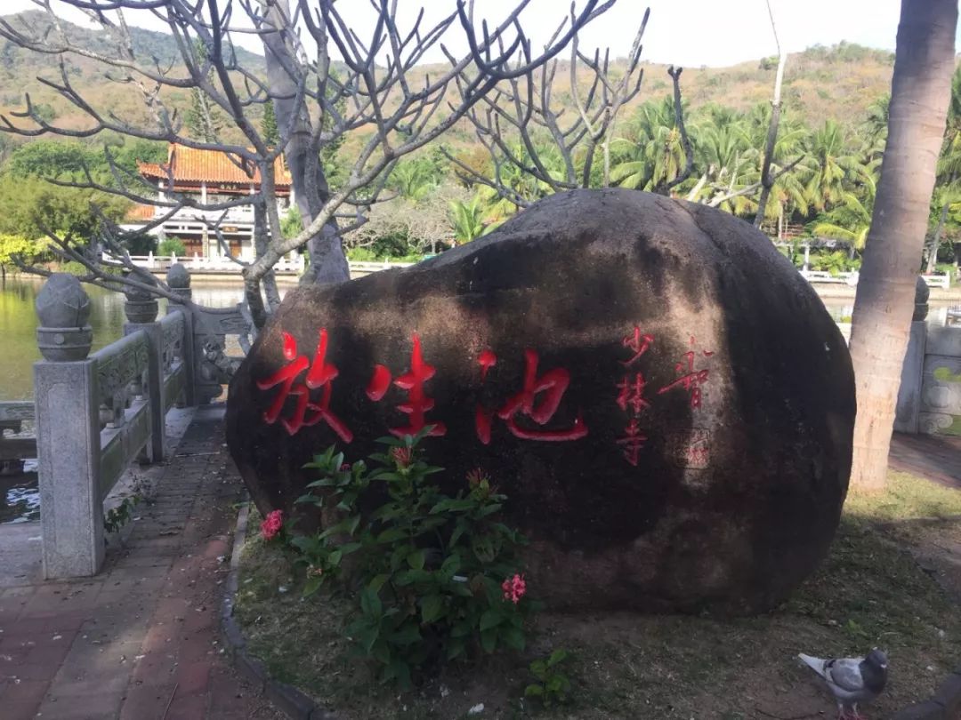 女婿搞定岳父母电视剧,女婿搞定老丈人的话