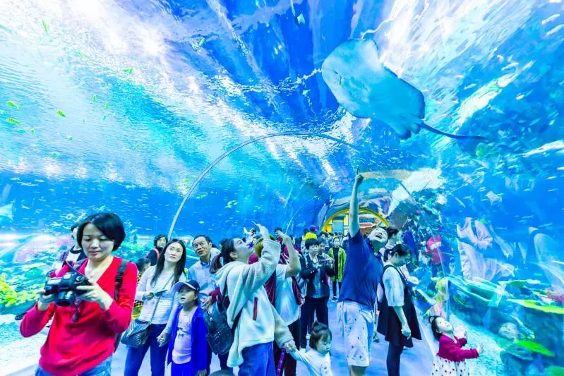 上海除了迪士尼还有哪些游乐场,上海比迪士尼好玩的乐园