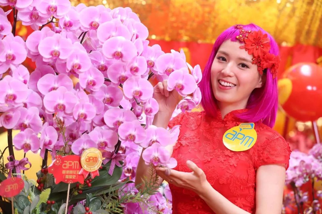 香港买东西便宜又好玩的地方,内地人香港春节游有地方购物吗