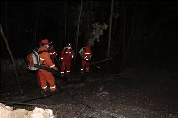 马关县山火民警奋力扑救,各地山火扑救情况