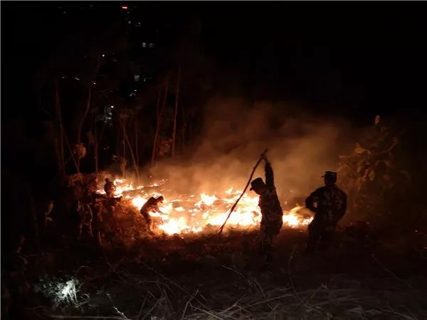 马关县山火民警奋力扑救,各地山火扑救情况