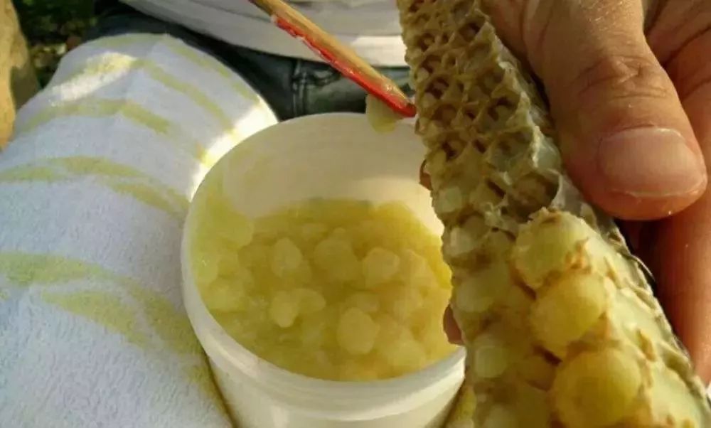 17种公认最坑钱货,十种最坑钱的东西