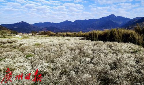 广州文化广场打卡,广州文化打卡点