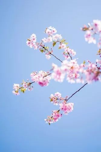 诗词丨史上最惊才绝艳的诗人，一句诗便照耀千古