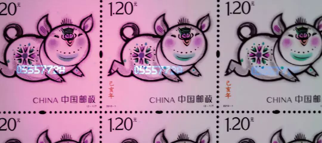 初四|猪年生肖票来了,网友为它吵翻了天……