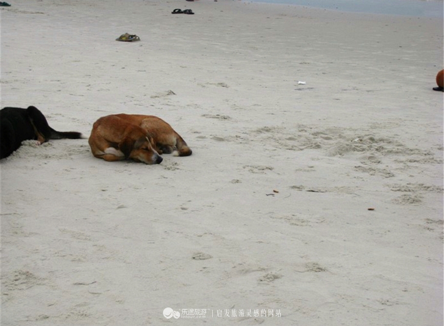 發泰泰泰国餐厅,泰泰發-泰国大排档