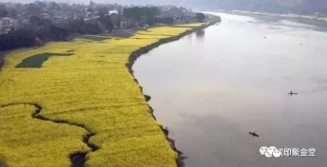 金堂赏花最佳地点时间,金堂赏花之梨花篇