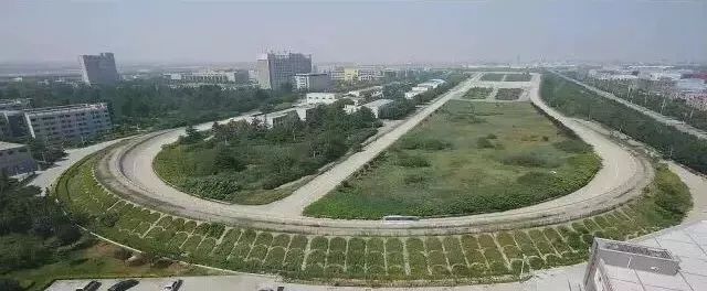 当当当！CHDers快来查收属于你们的春节应答攻略吧