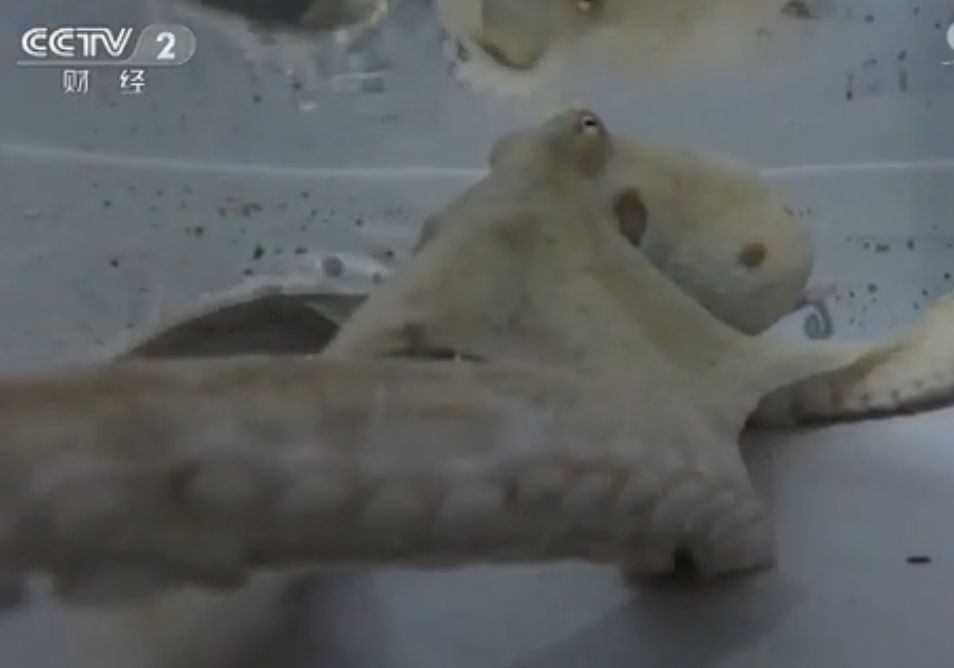 推荐冷知识书籍,20个颠覆你认知的法律冷知识