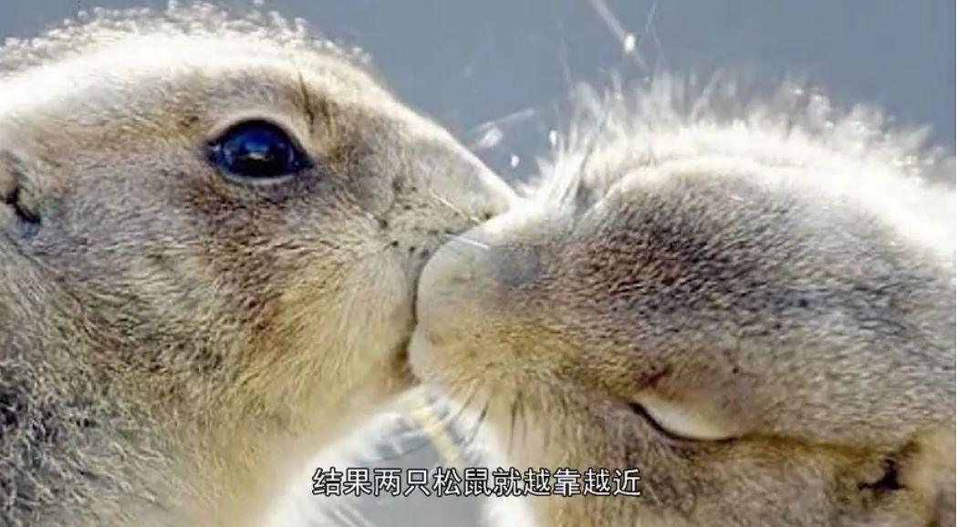 推荐冷知识书籍,20个颠覆你认知的法律冷知识