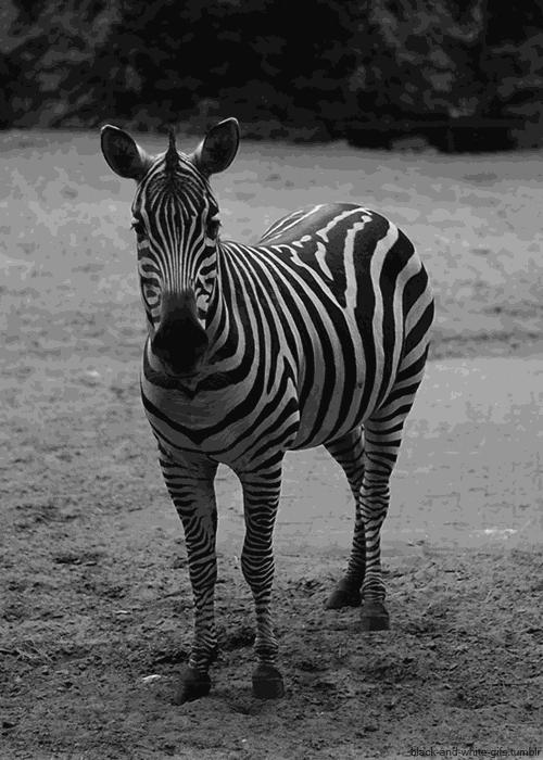 推荐冷知识书籍,20个颠覆你认知的法律冷知识