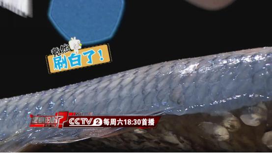 别再用刀刮鱼鳞了！只需这一味调料鱼鳞轻松去除