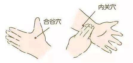 「新世相」因过年太累，男子被送医抢救……这几个保命技巧一定要知道