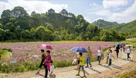 旅游防晕车攻略,晕车旅游攻略