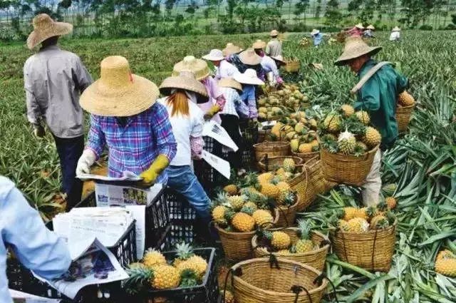 旅游防晕车攻略,晕车旅游攻略