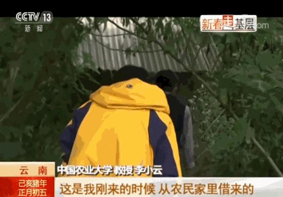 莘村成人礼,乡村成人礼视频