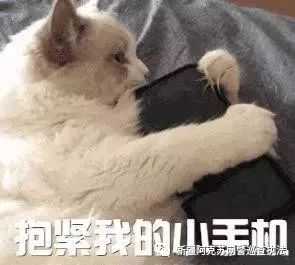 净网2019神操作完整视频,净网2019游戏背后的黑手