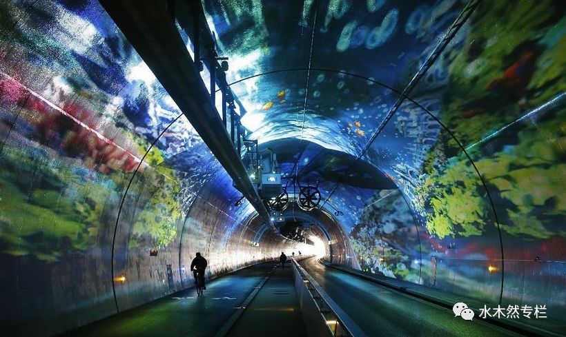 学会这些哲理可以让你更加美好,哲理的话你要仔细听