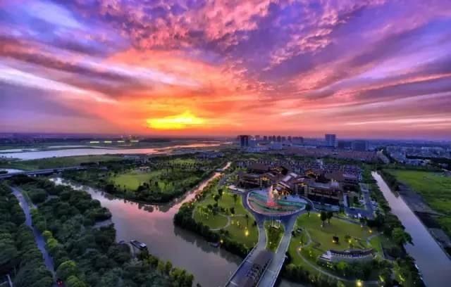 年度访谈丨专访秀洲国家高新区管委会主任严加友