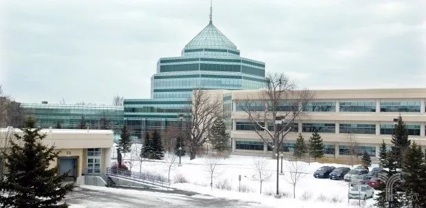 5G会重演当年3G的煎熬历史吗？