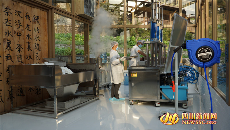 “带劲豆花”“幸福酥肉”好火红“茶祥子”好有“科技范”