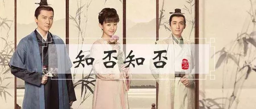 看知否感受宋朝的雅致,知否知否明兰去看林氏