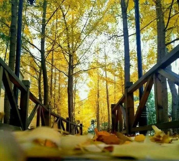 趁着假期来泡温泉吧,趁夏天还没来赶紧泡个温泉