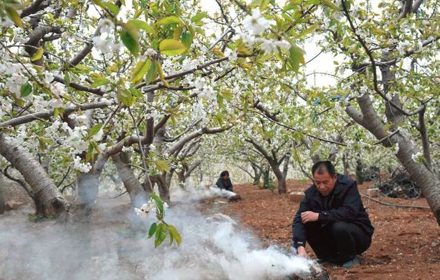 寡妇年真的有倒春寒吗,2019年是不是寡妇年