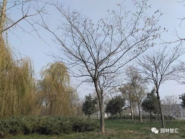 合家欢乐｜*欢合**、珍珠金*欢合**、香水*欢合**