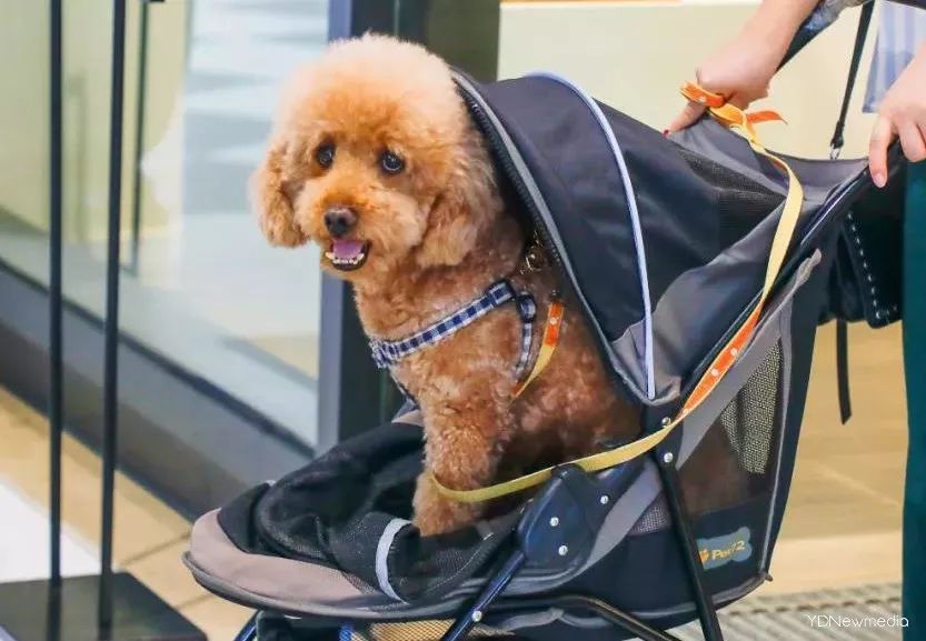 情人节购物攻略,情人节百货推荐